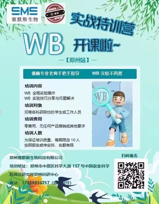 WB实战特训营，开课啦~~